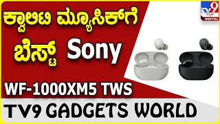 Sony WF-1000XM5 TWS: ಸ್ಪಷ್ಟ ಮತ್ತು ಆರಾಮದಾಯಕ ಮ್ಯೂಸಿಕ್ ಆಲಿಸಲು ಬೆಸ್ಟ್ ಸೋನಿ ಬಡ್ಸ್  | #TV9B