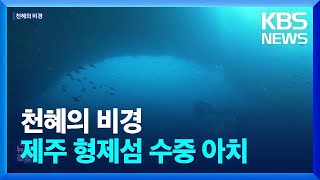 천혜의 수중비경 ‘형제섬 수중아치’ 아시나요 / KBS  2023.10.14.
