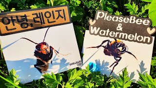 레인지와 수박이가 보낸 선물 Gift from Range and Watermelon (My Bee Friends)