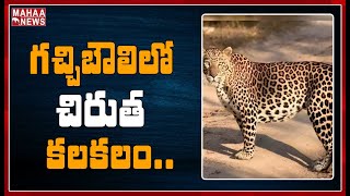 గచ్చిబౌలిలో చిరుత కలకలం: Tiger Hulchul In Gachibowli | MAHAA NEWS