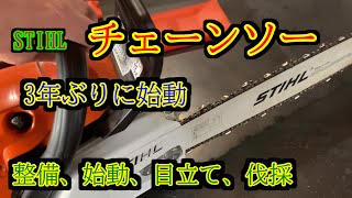 【チェーンソー】STIHLチェーンソー3年ぶりの始動