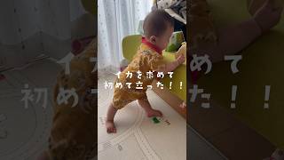 【生後6ヶ月】祝！初めてのつかまり立ち👶🏻#shorts #baby #赤ちゃん #男の子 #初めての