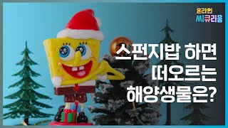 [온라인 해설] 지구에서 가장 간단한 구조의 동물, 해면동물