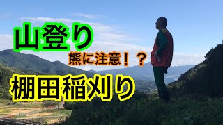 【川場村】棚田稲刈り【地域おこし協力隊】