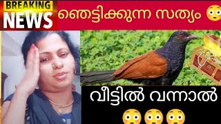 നിങ്ങളുടെ വീട്ടുമുറ്റത്തു വന്നിട്ടുണ്ടെങ്കിൽ 😳😳😳/ lucky bird / uppan / chempothu / viralvideo