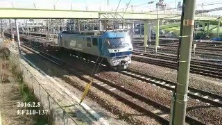 EF210-137号機【桃太郎】　東海道本線