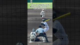 打者として見せてはいけない姿勢(ファイティングスピリット) #甲子園 #高校野球 #早稲田実業 #鳴門渦潮