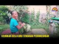 keunikan desa kuno tenganan pegringsingan