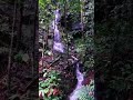 Uphill towards Mount Serapi, KUBAH NATIONAL PARK, MATANG KUCHING SARAWAK BORNEO