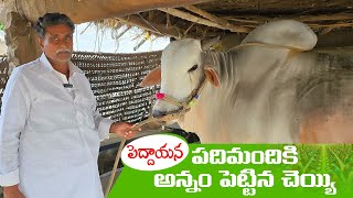 Jillella Nagi Reddy garu // పలుకుబడిని ఉపయోగించి తమకు నచ్చిన విధంగా కోర్టును తయారు చేసుకునేవారా....?