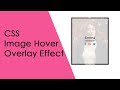CSS Image Hover Overlay Effect- CSS Tutorials | csPoint web designing tutorials