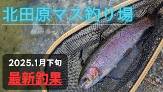 最新！北田原マス釣り場 202501下旬 フライフィッシング