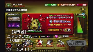 【ぼくとネコ】闘技場　3/17最終日　ダイヤモンドクラスで２度目１位を狙う！！