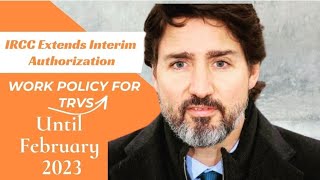 IRCC extends Interim Authorization to Work policy for TRVs Canada 2023 | Canada Immigration Explore