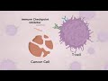 Immune Checkpoint Inhibitor-Related Pneumonitis in Lung Cancer - August 2021