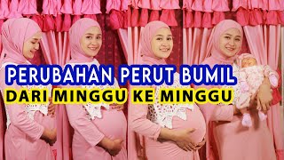 PERUBAHAN PERUT IBU HAMIL DARI MINGGU KE MINGGU