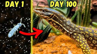 Simulating a Desert Ecosystem for 100 Days