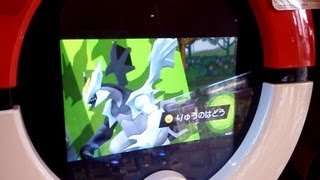 ポケモントレッタ第5弾 動画 マスタークラス ブラックキュレムを使ってみた。