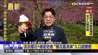 最新》美如仙境！ 春季賞花盛宴 杉林溪粉紅櫻花綻放 @newsebc