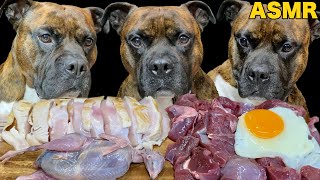 【爆食い犬ASMR】生肉がダイソンと変わらない吸引力で消えていくｗｗｗ 　Dog eats raw meat and bones