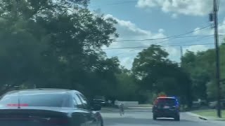 Veterinarian discusses possible cause of death for New Braunfels zebras | KVUE