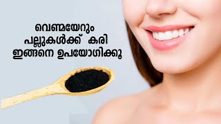 Charcoal Powder for Teeth Whitening | പല്ലിന്റെ മഞ്ഞ നിറം അകറ്റാൻ കരി ഉപയോഗിക്കാം