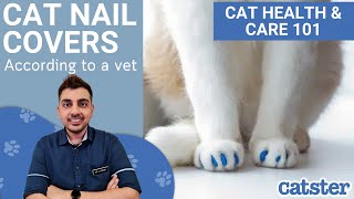 Everything you need to know about cat nail caps