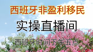 西班牙非盈利移民，如何办理西班牙非盈利移民，移民局官方资料详细解读