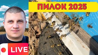 Пасічницька година🐝 Пилок несуть добре 🐝 Прямий Ефір 09.03.2025 ✅