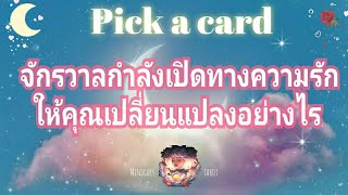 pick a card ep121💫🕊 จักรวาลกำลังจะเปิดทางความรักให้คุณเปลี่ยนแปลงอย่างไร❤🌷🌙Timeless