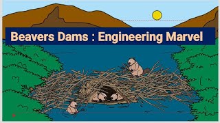 Beaver Dams : Engineering Marvel #upsc #environment