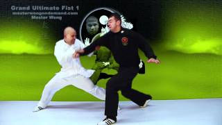 Tai Chi combat tai chi chuan fight style use tai chi - lesson 3