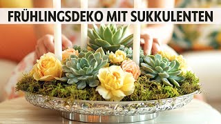 🌿Frühlingsdeko mit Sukkulenten: 20 Wunderschöne Ideen