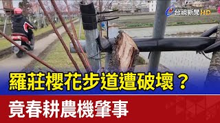 羅莊櫻花步道遭破壞？ 竟春耕農機肇事