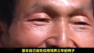 农管出征，寸草不生   ，农管进村鸡飞狗跳，是不是像当年的鬼子进村一样呢？