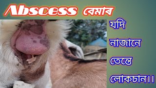 ছাগলীৰ ছালৰ পুজ ওলোৱা বেমাৰৰ চিকিৎসা।।