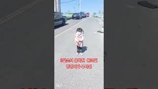 멍멍 무서워  유치원 안갈래 하면서 울며 혼자 유치원 가는 딸 /#유치원 #아기 #babyshorts