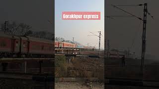 Gorakhpur to lokmanya Tilak #youtubeshorts #indianrailways #train #reels #railway