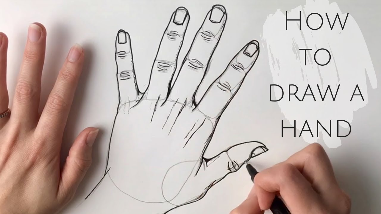 Beginners - How To Draw A Hand - YouTube