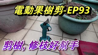 ACL (電-EP93) 電動果樹剪實測/修枝剪刀, 花園修枝剪樹枝好幫手, 省時又省力, 電動工具, 居家水電及修繕,  Abao Channel