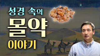 성경 속의 몰약 이야기 - 부패를 막는 고난