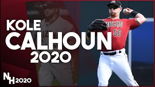 Kole Calhoun 2020 Highlights