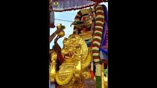 Sri vari Bramotsavam (Harathi's).  SIMHA VAHANAM  5/11