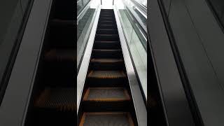 escalator escalateur rulletrapp escalera mecánica escada rolante 自动扶梯 Rolltreppe चलती सीढ़ी  #shorts