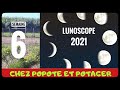 COMMENT JARDINER AVEC LA LUNE 🌔 (s.6)