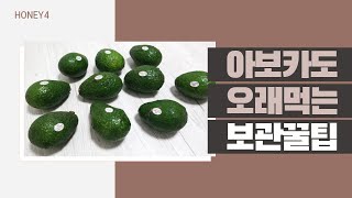 저는 아보카도 멀쩡하게 3-4주 먹어요! 아보카도 보관법 꿀팁 공개♥