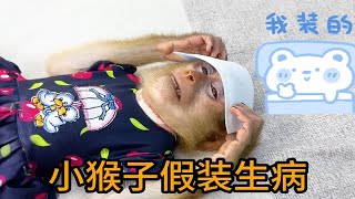 小猴子卡卡想到一个坏主意，假装自己生病发烧，想要妈妈哄哄抱抱