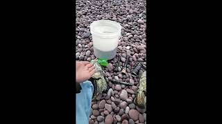 A Night On Lake Superior Hunting Fluorescent Sodalite! #adventure #Yooperlite | Jason Asselin