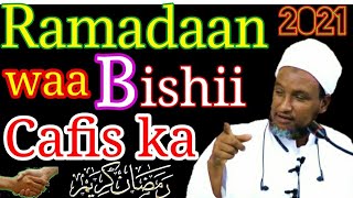 Ramadaan waa bishii cafiska ☆ Cafi walaalkaa || sh xuseen cali jabuuti || Acraaf Media