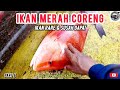 IKAN MERAH CORENG IKAN RARE & SUSAH DPT SKRG / TRIP BOTTOM DRIFT PIPELINE DUNGUN 2024 - PART 6 #fyp